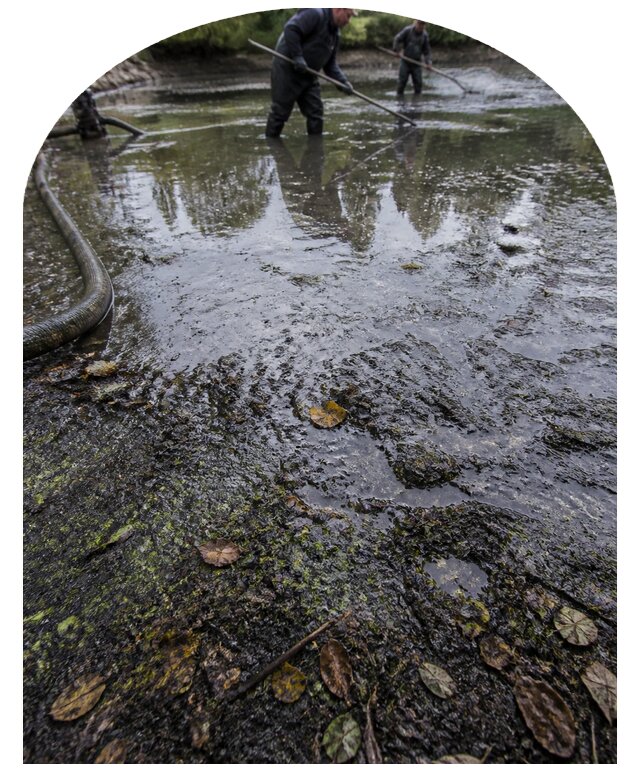 Очистка пруда в Прохладном от ила мусора и водорослей с вывозом
